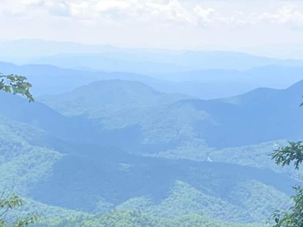 Beaverdam Bald photo 3