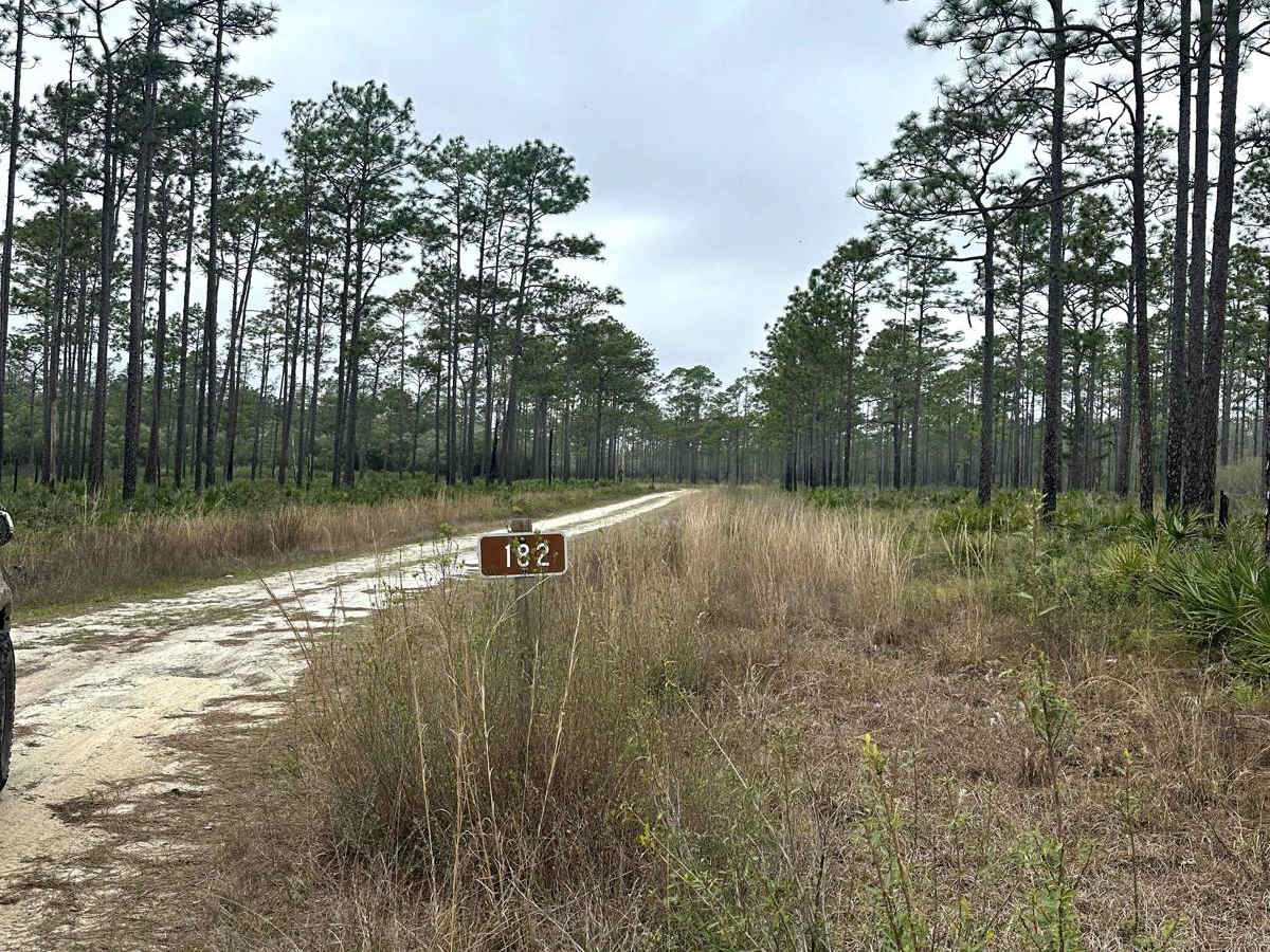 Boatwright - FS 182 trail photo
