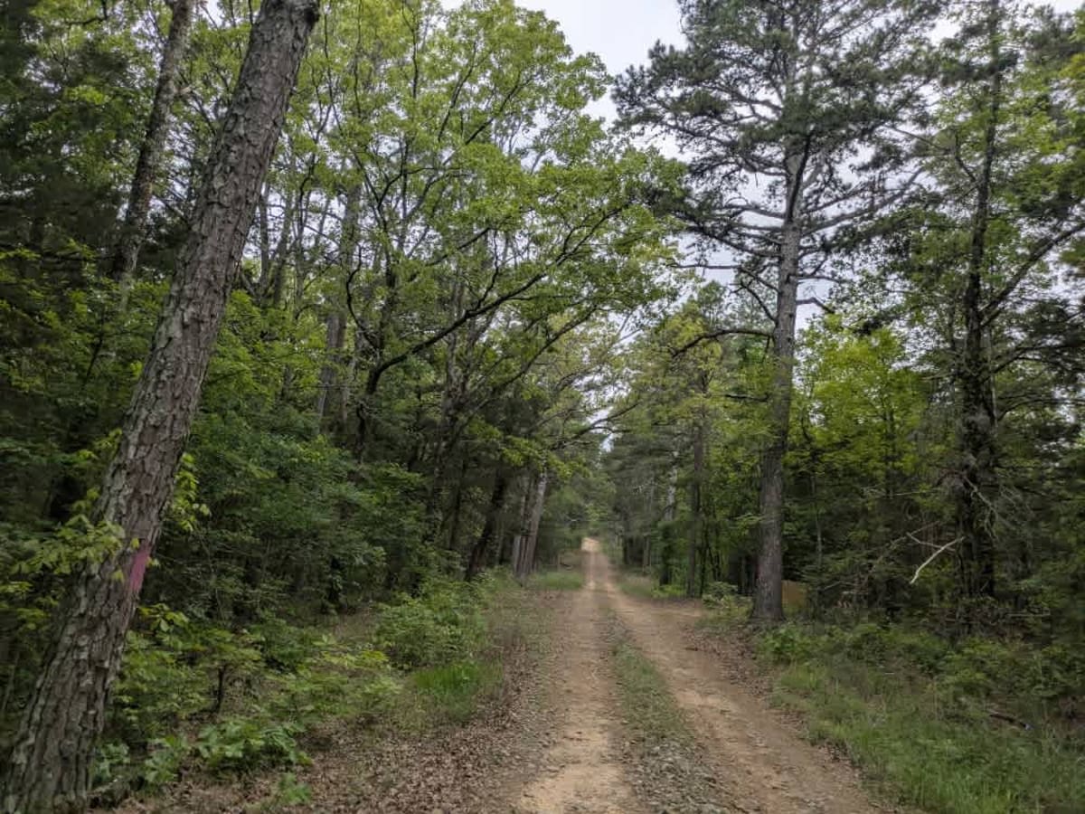 Barber Ridge Road trail photo