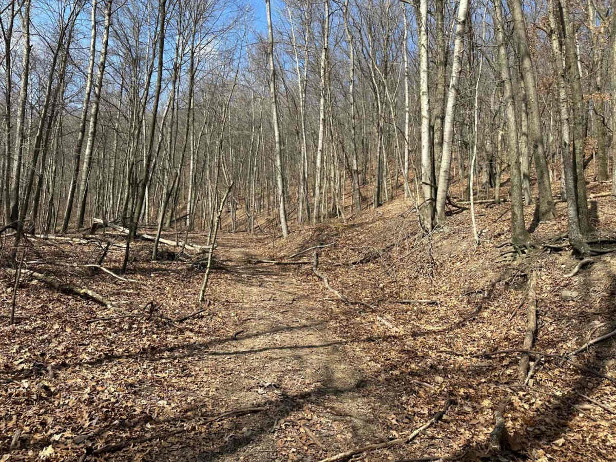 Ashland 15 photo 5