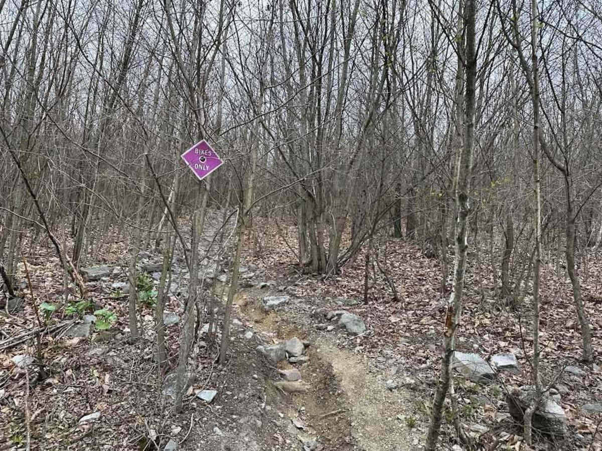Burma Single Track 14 Part 1 photo 3