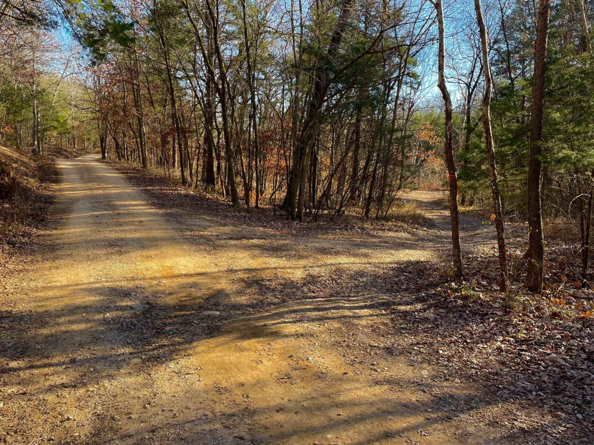Devreaux Ridge Road photo 3