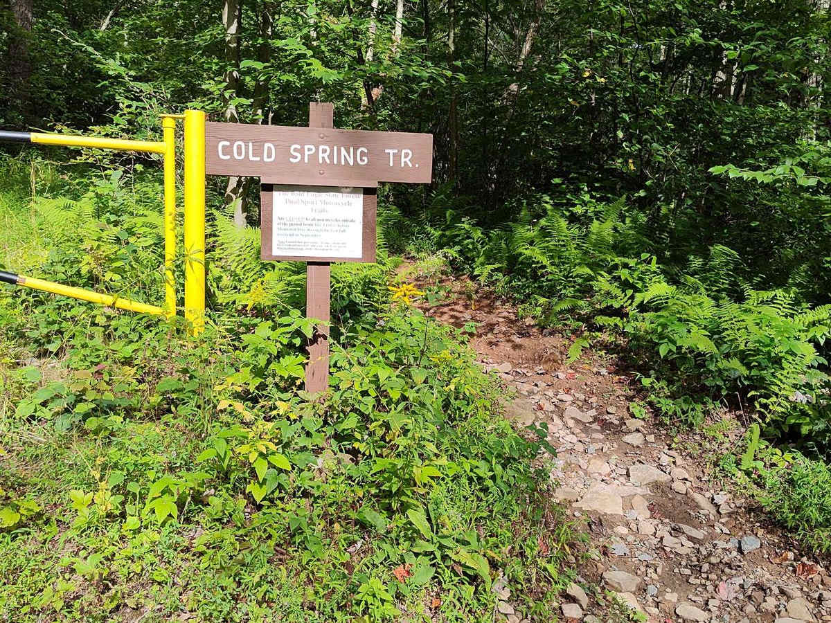 Cold Spring Trail - Single Track trail photo