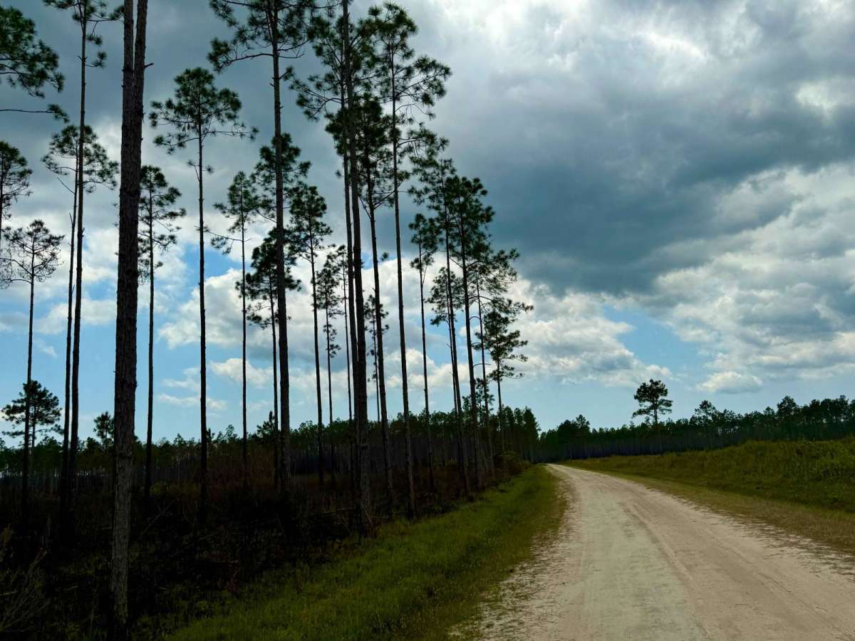 Gardener Landing Road photo 3