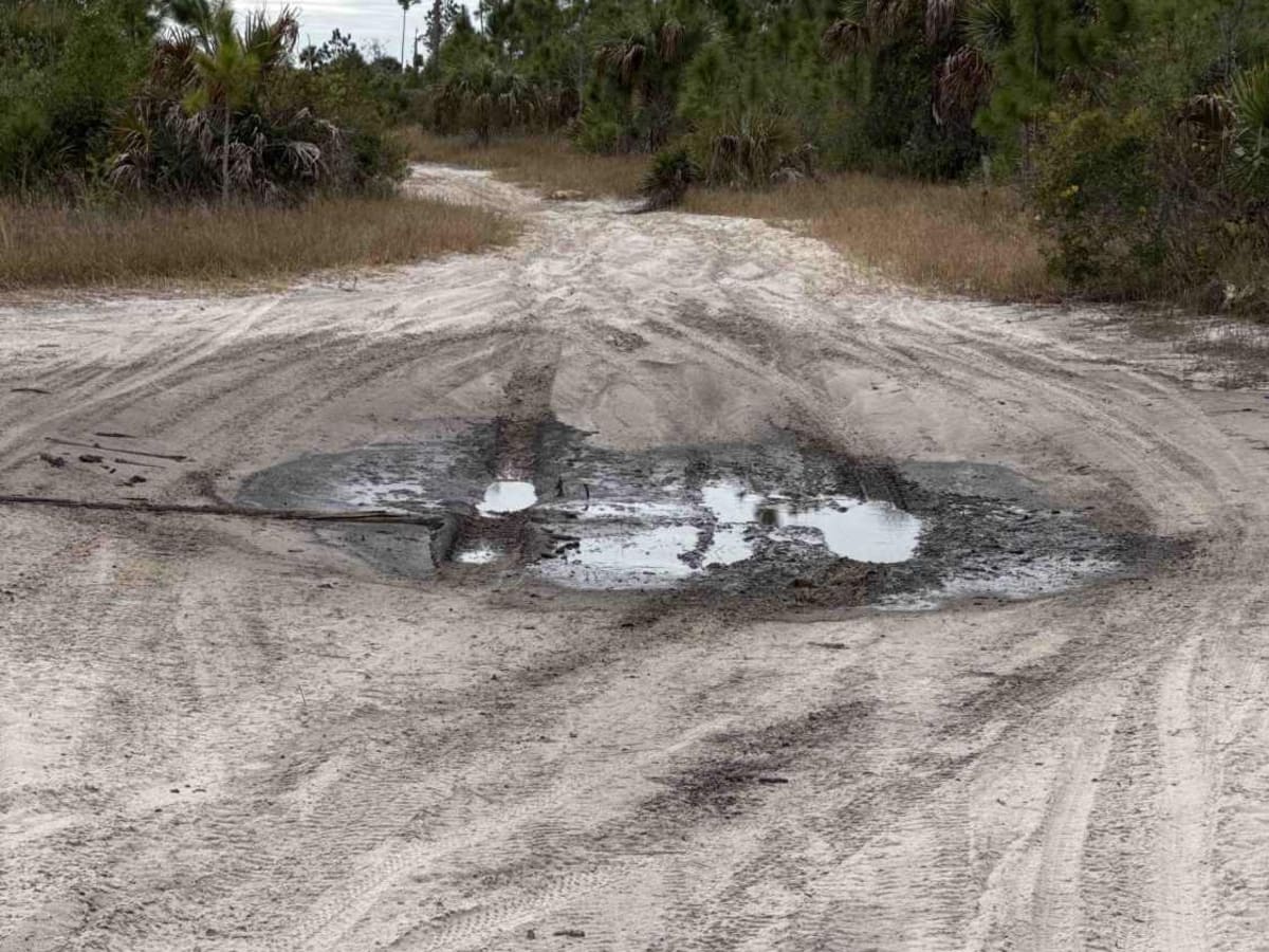 Shortcut Trail photo 3