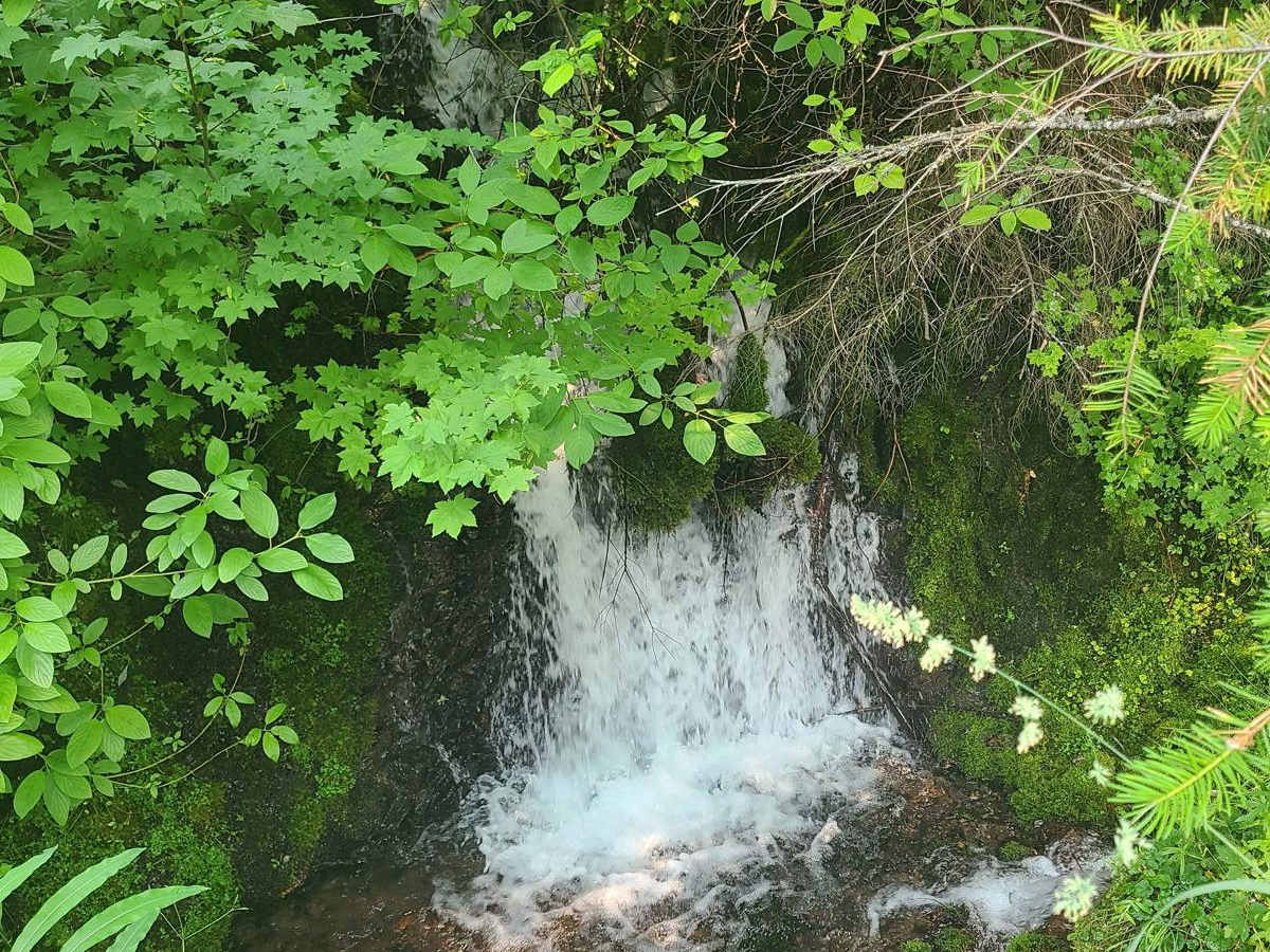 Views and Falls #2143 photo 4