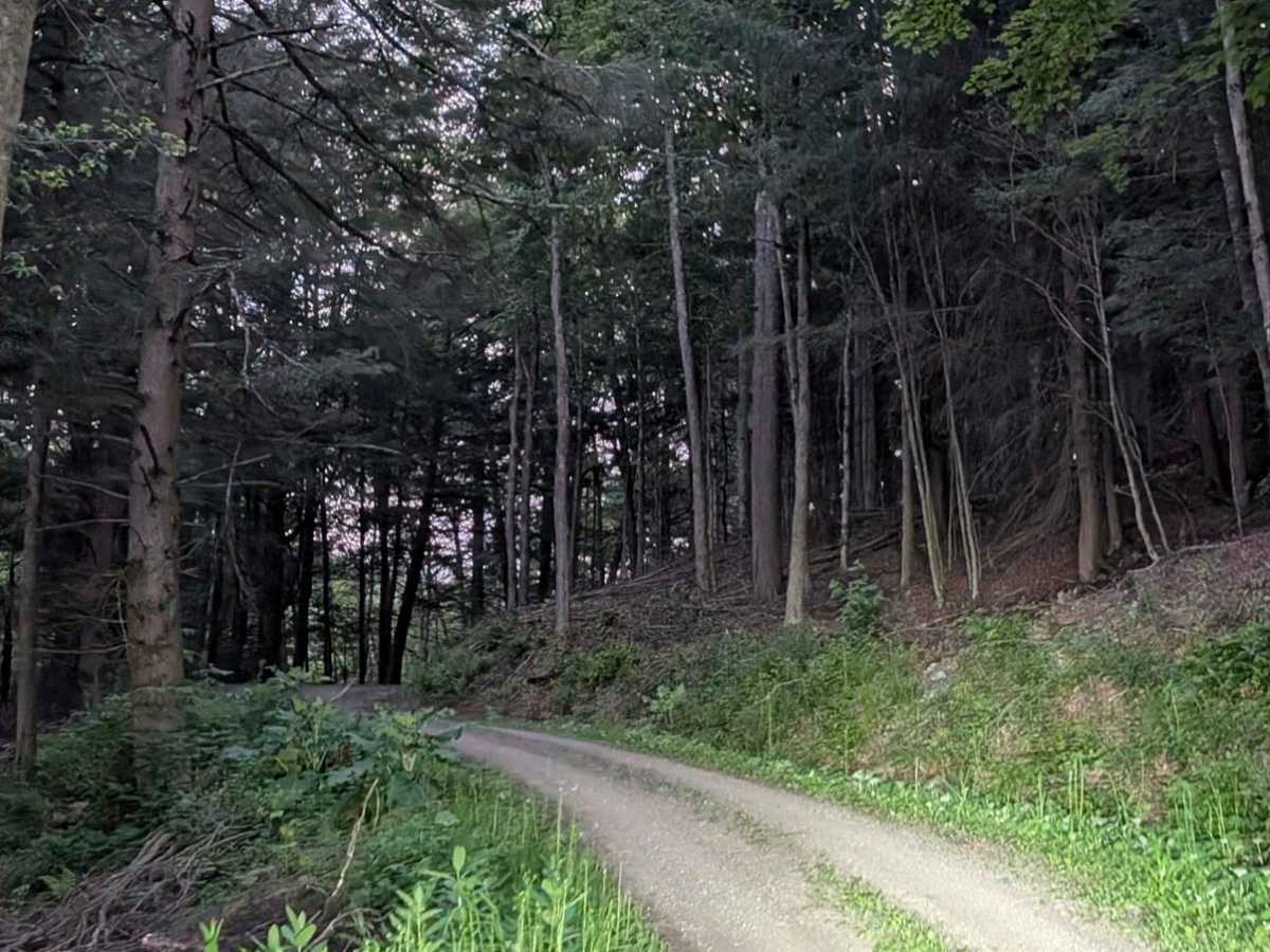 Walker Road photo 2