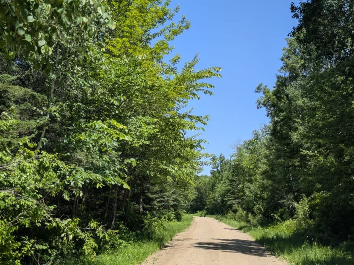 Gamblers Point Drive Northeast photo 6
