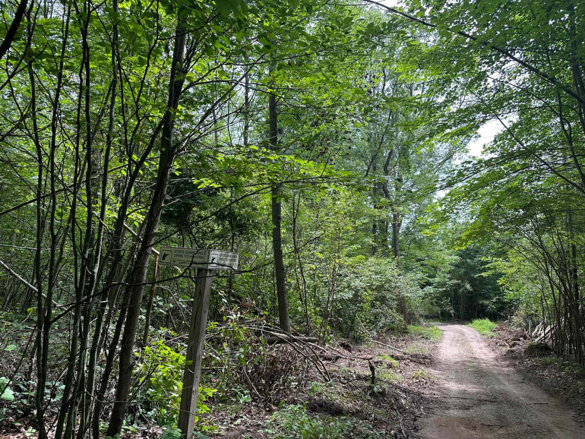 North Youngman Road photo 3