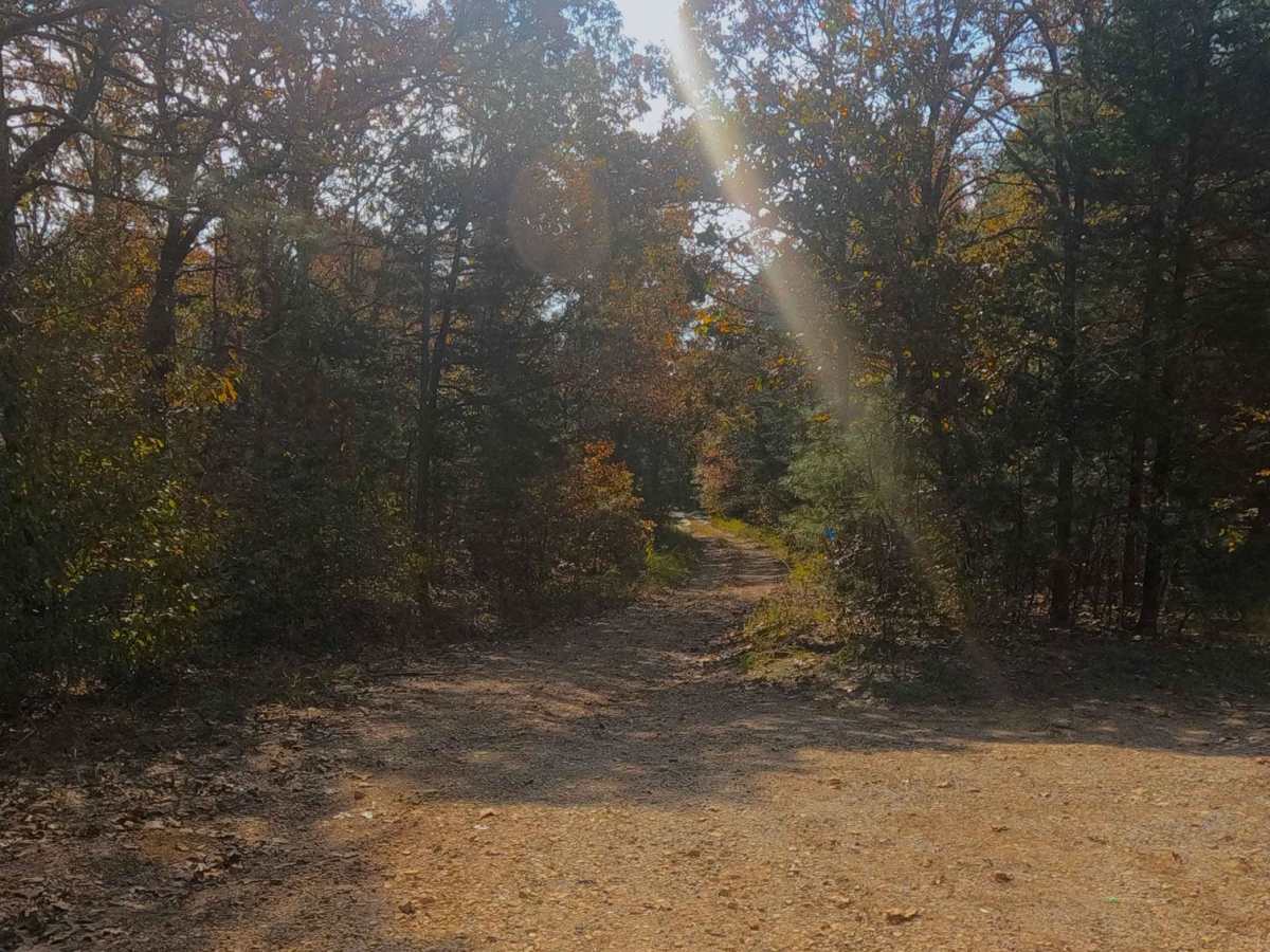 Kelsie Road - FS 308 photo 2