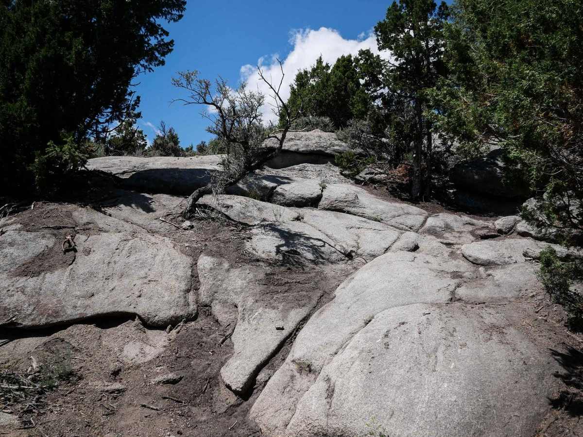 BLM 20 trail photo