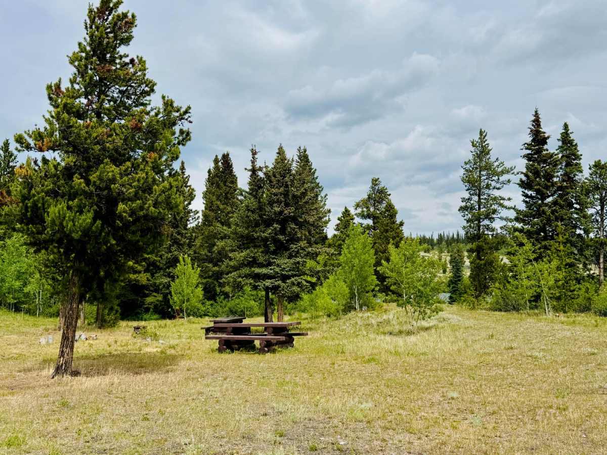 Tsuniah Lake Recreation Site FSR photo 5