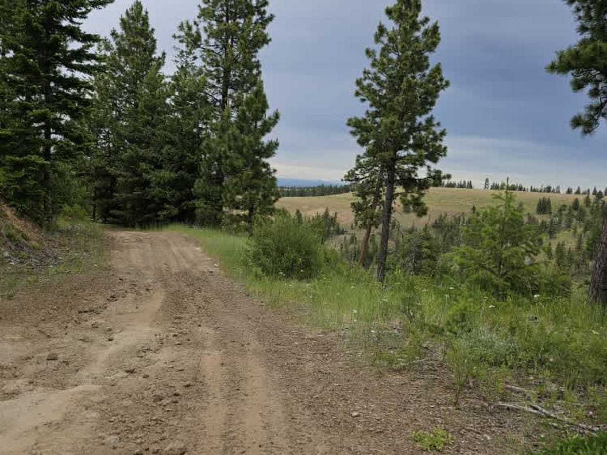 Pataha Cable Road photo 2
