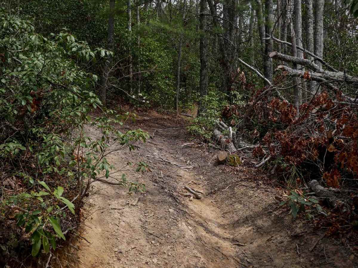 24 trail photo