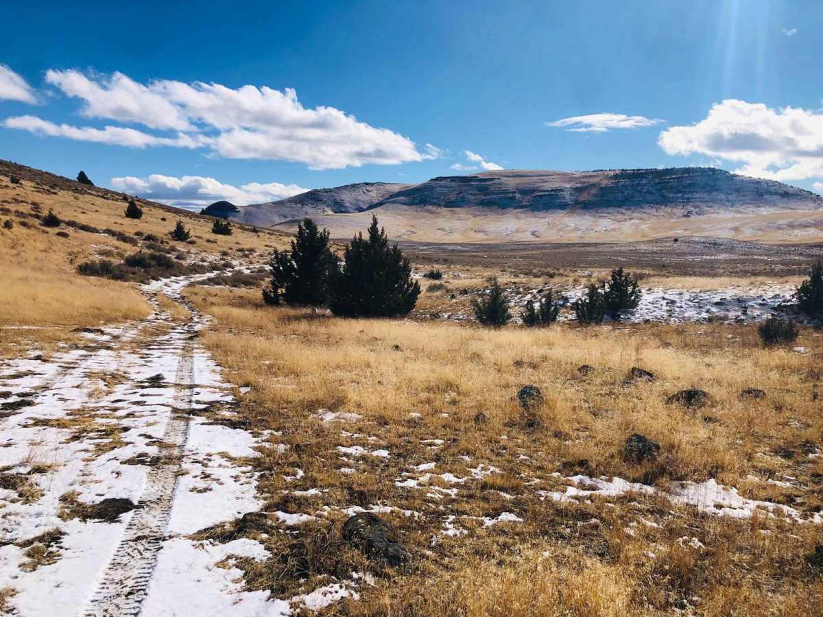 Wild Horse Tank Road trail photo