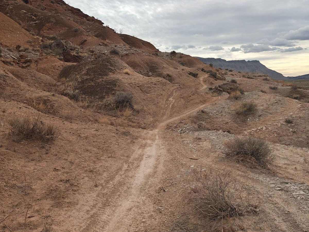 Side Trip - Single Track photo 3