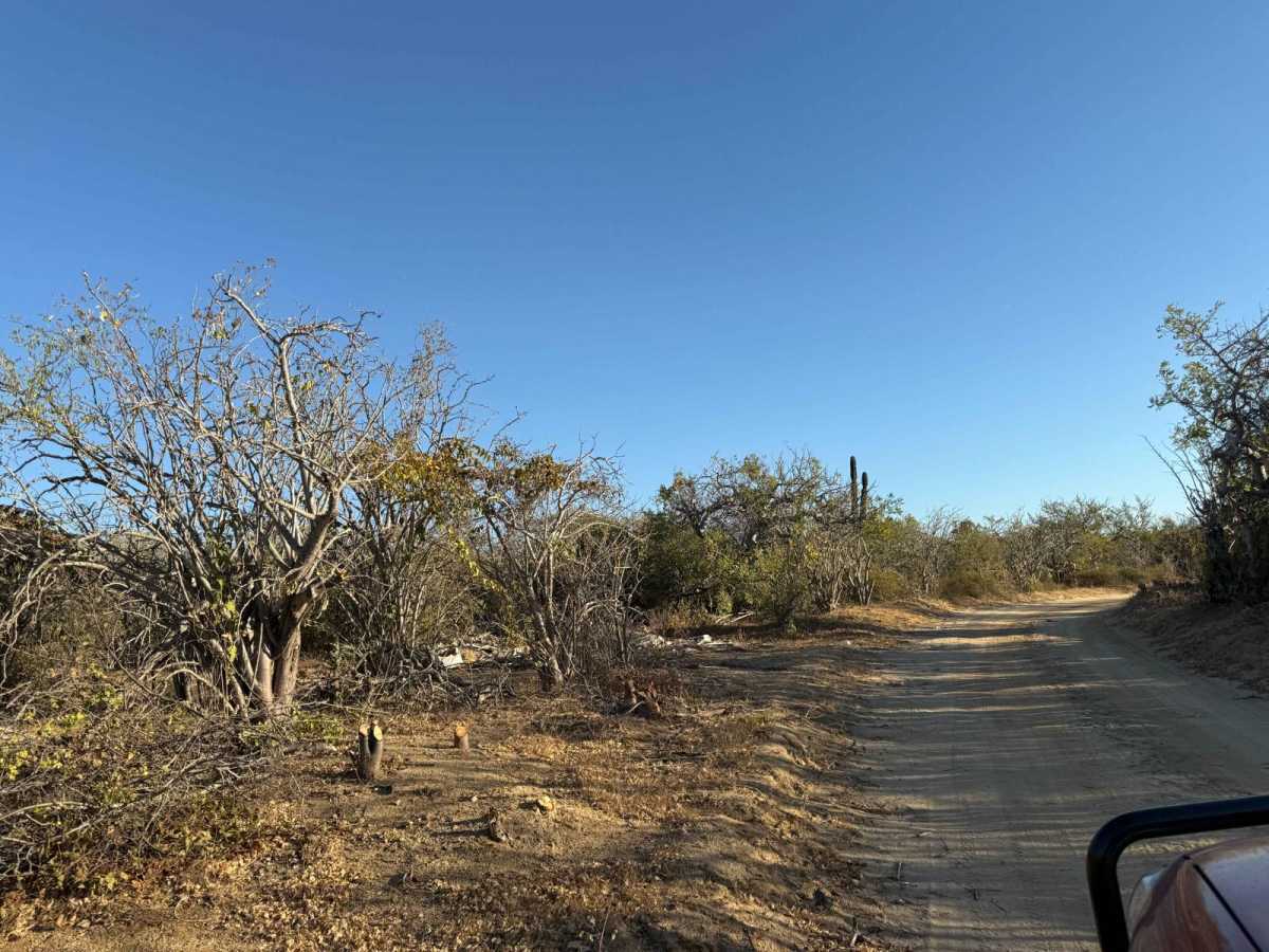 San Jose del Cabo 2 photo 2