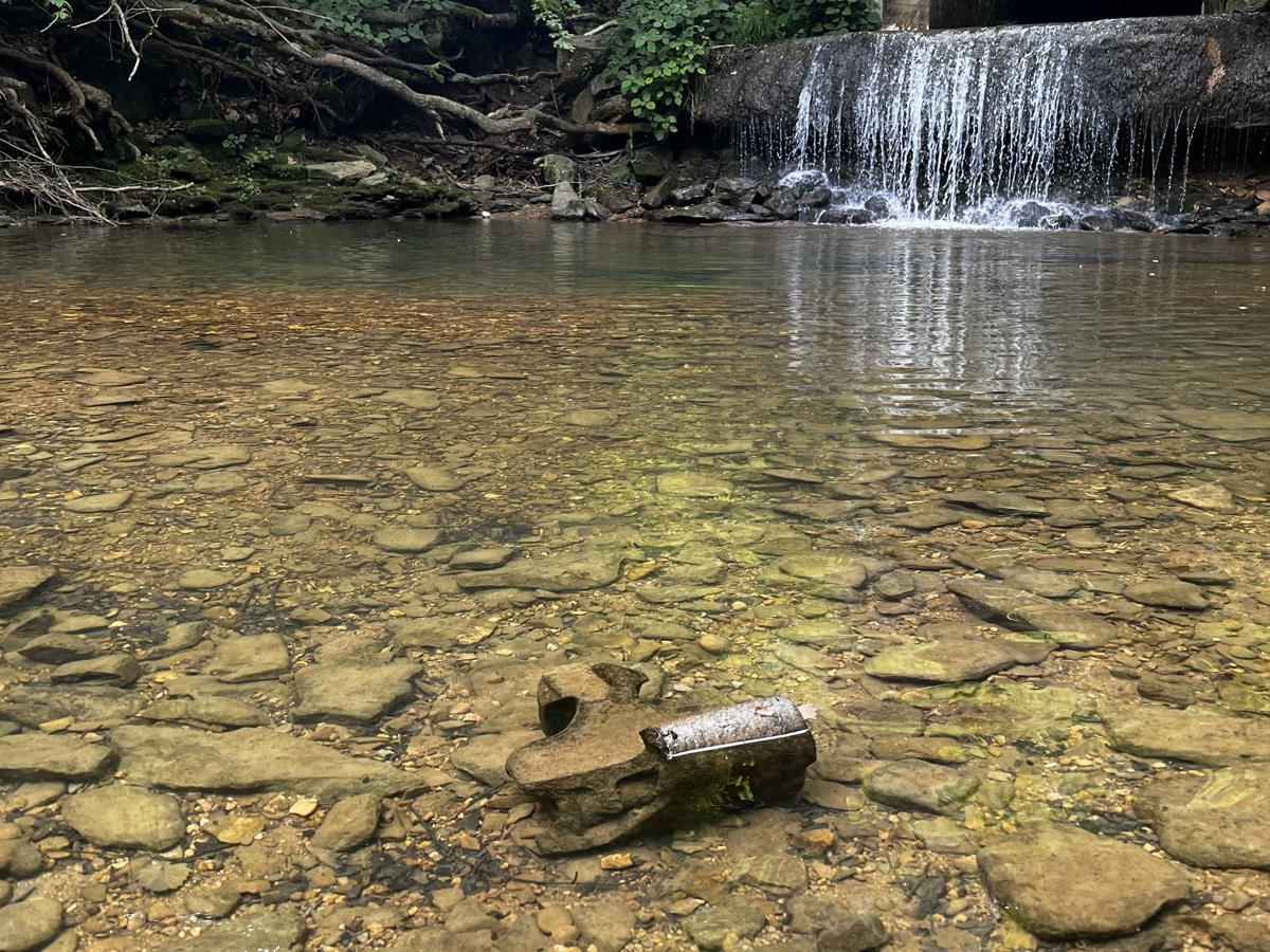 Clear Creek photo 4