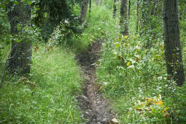 West Mancos Trail