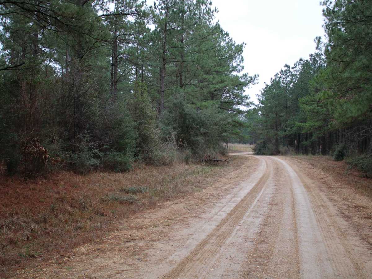 Plane Road (545) photo 5