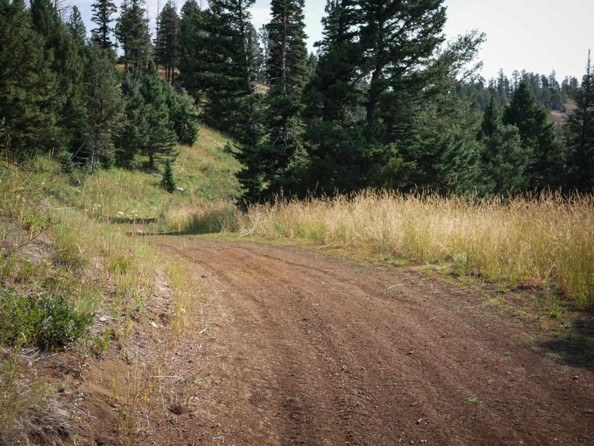 Fairy Creek - FS 500 photo 5