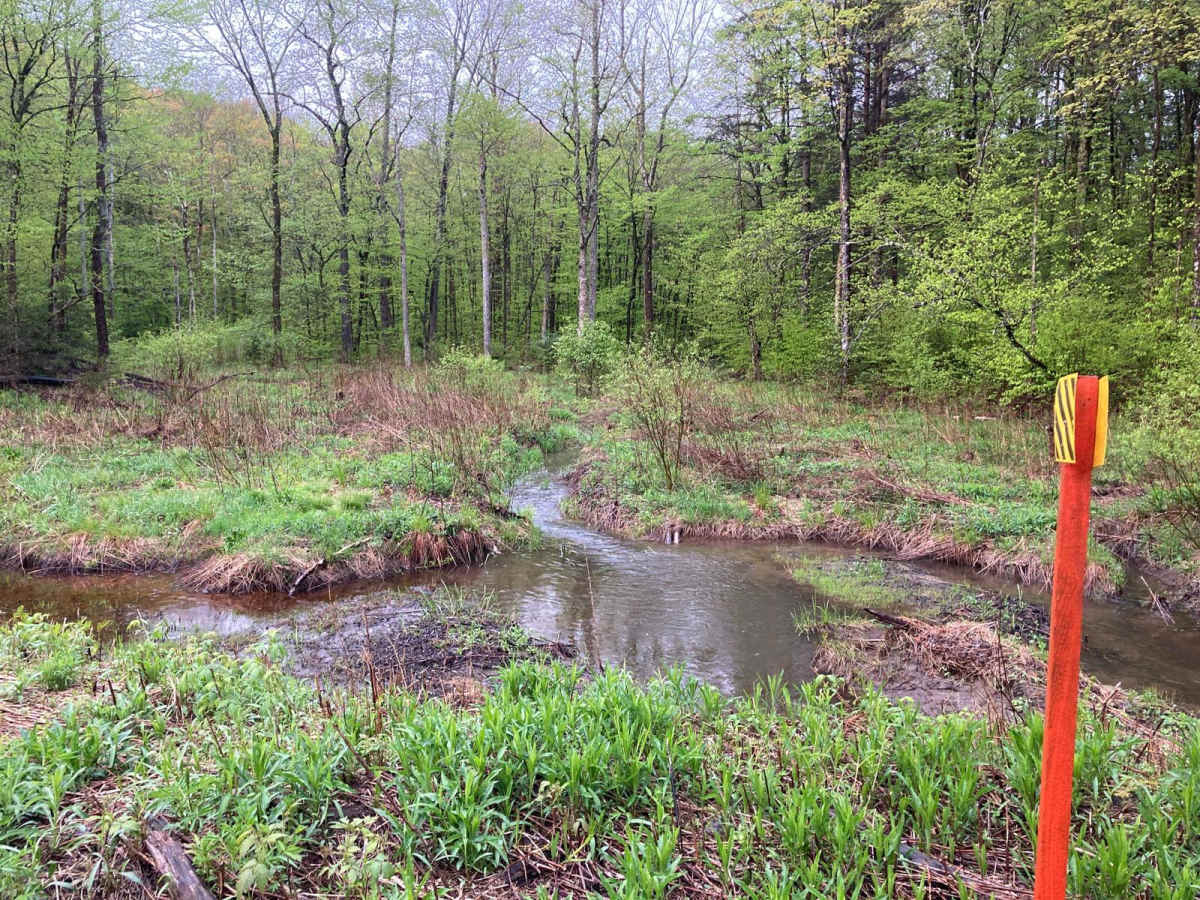 Taylor Valley State Forrest photo 3