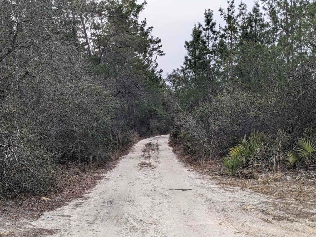 Island Lake Trail photo 3