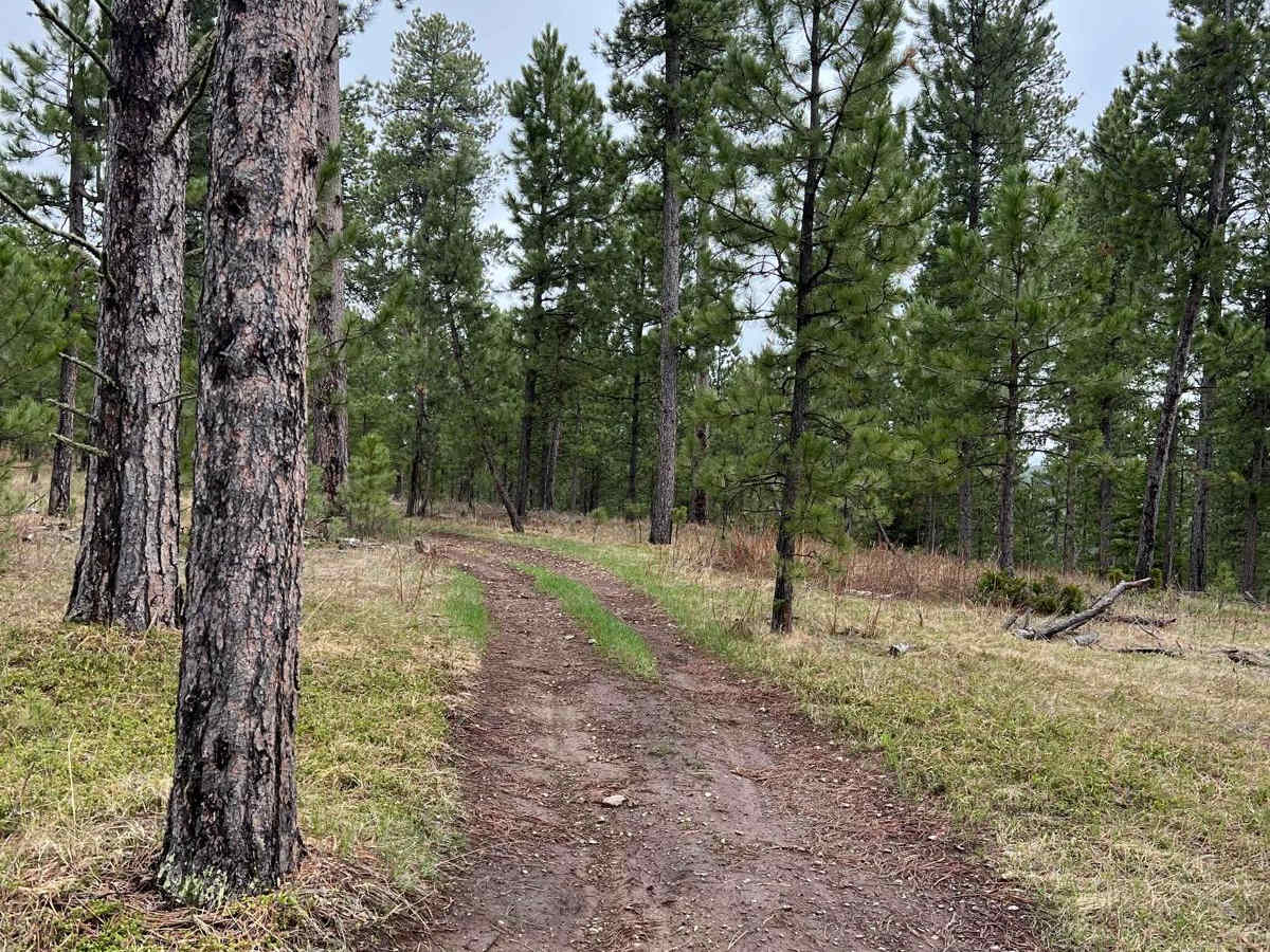 Benchmark Trail photo 2