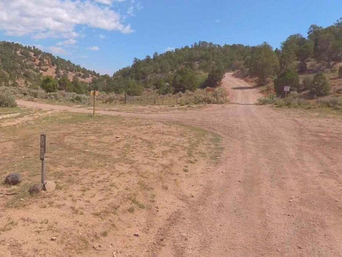 Watts Mountain Road- FS 40111 photo 2