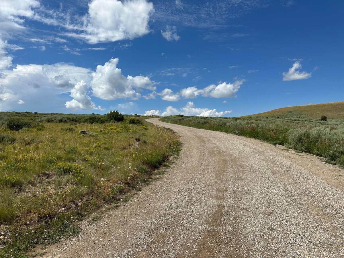 Cundick Ridge Road trail photo