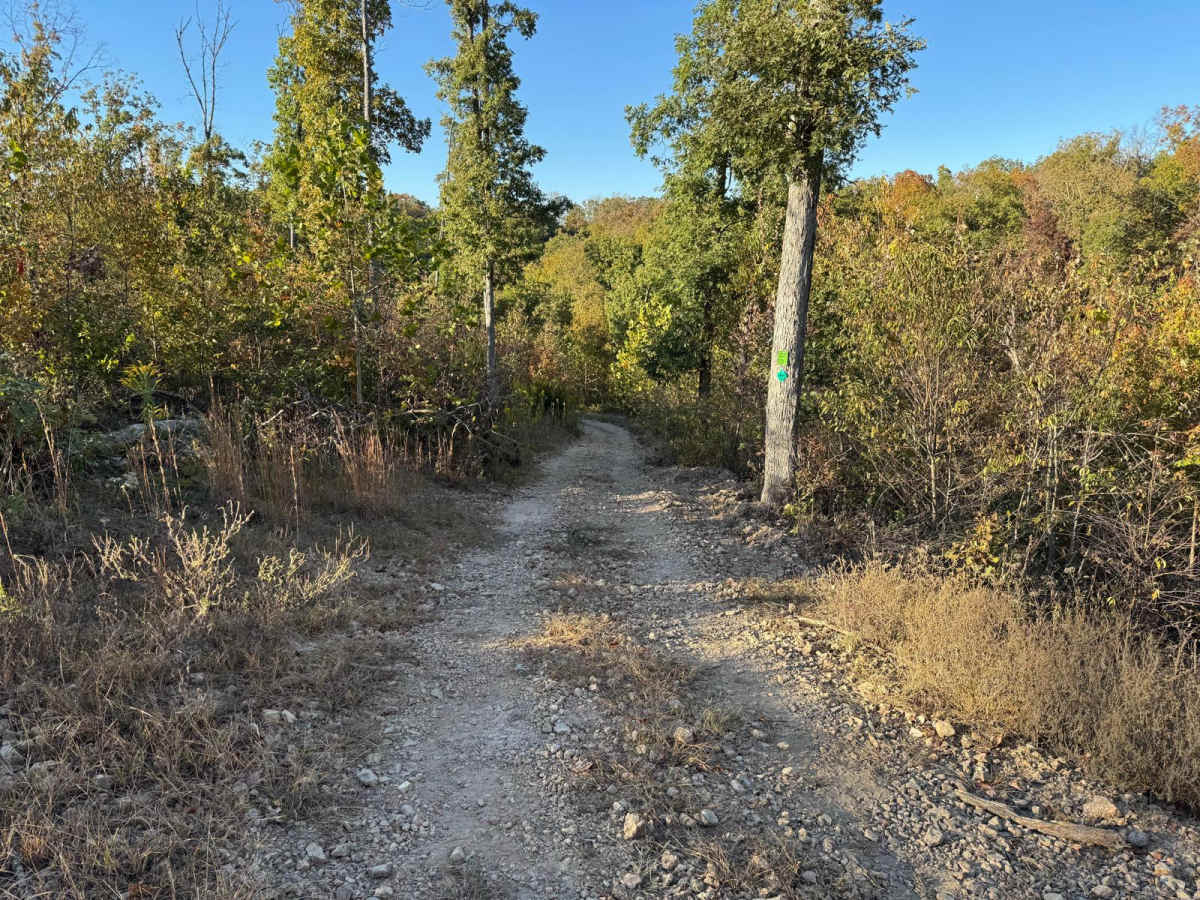 Green 32 trail photo