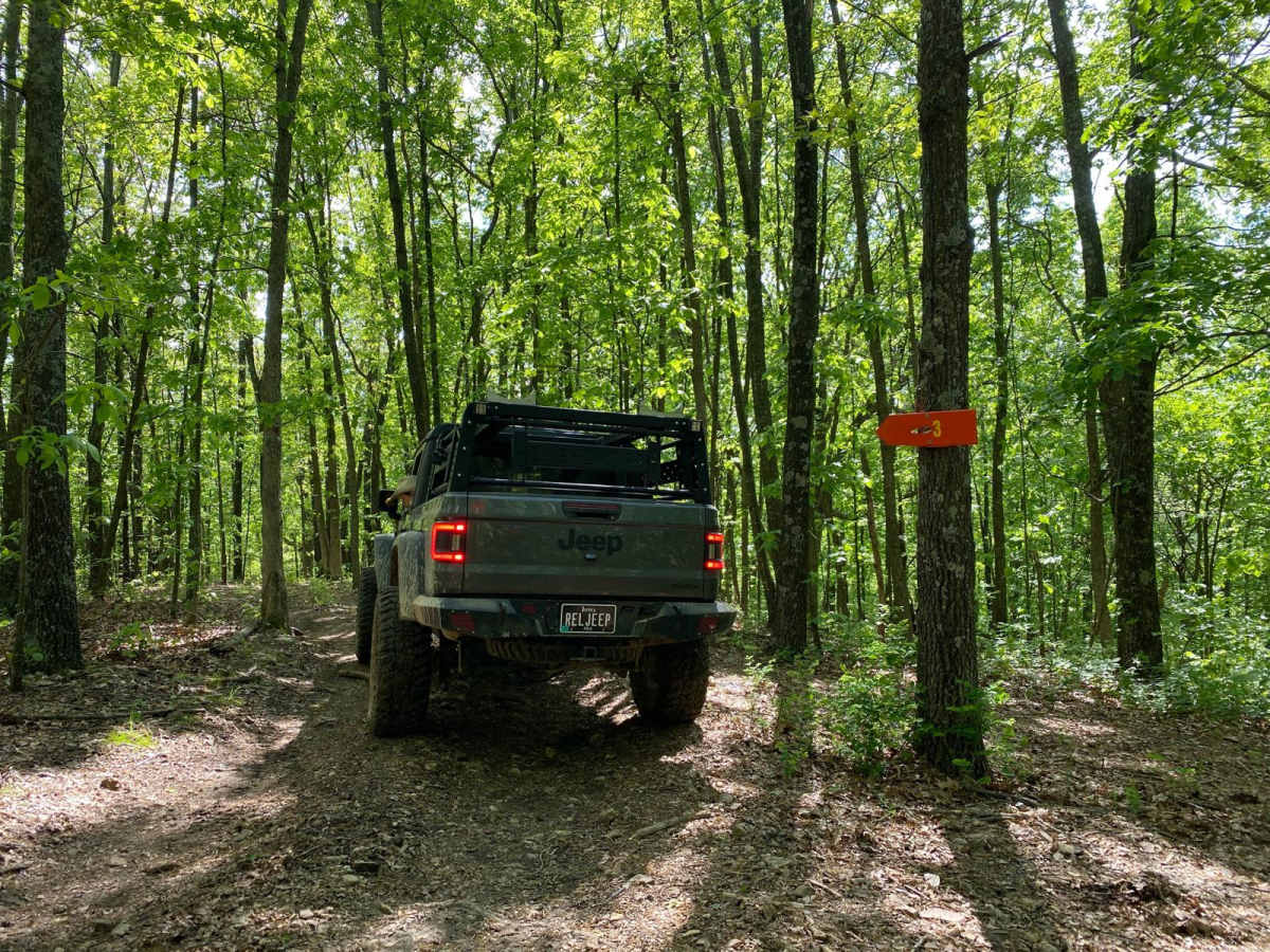 Big Oak trail photo