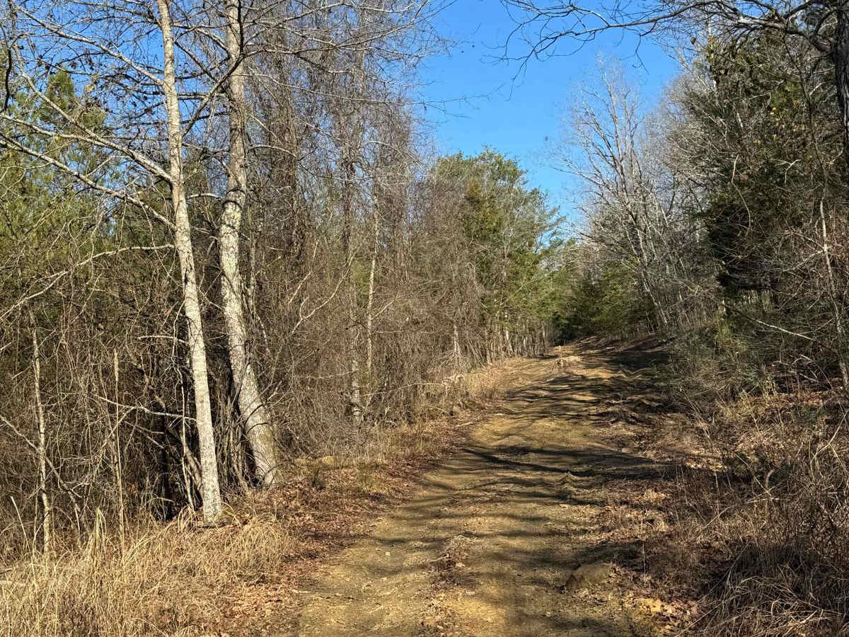 #21 Maynard's Trail photo 3