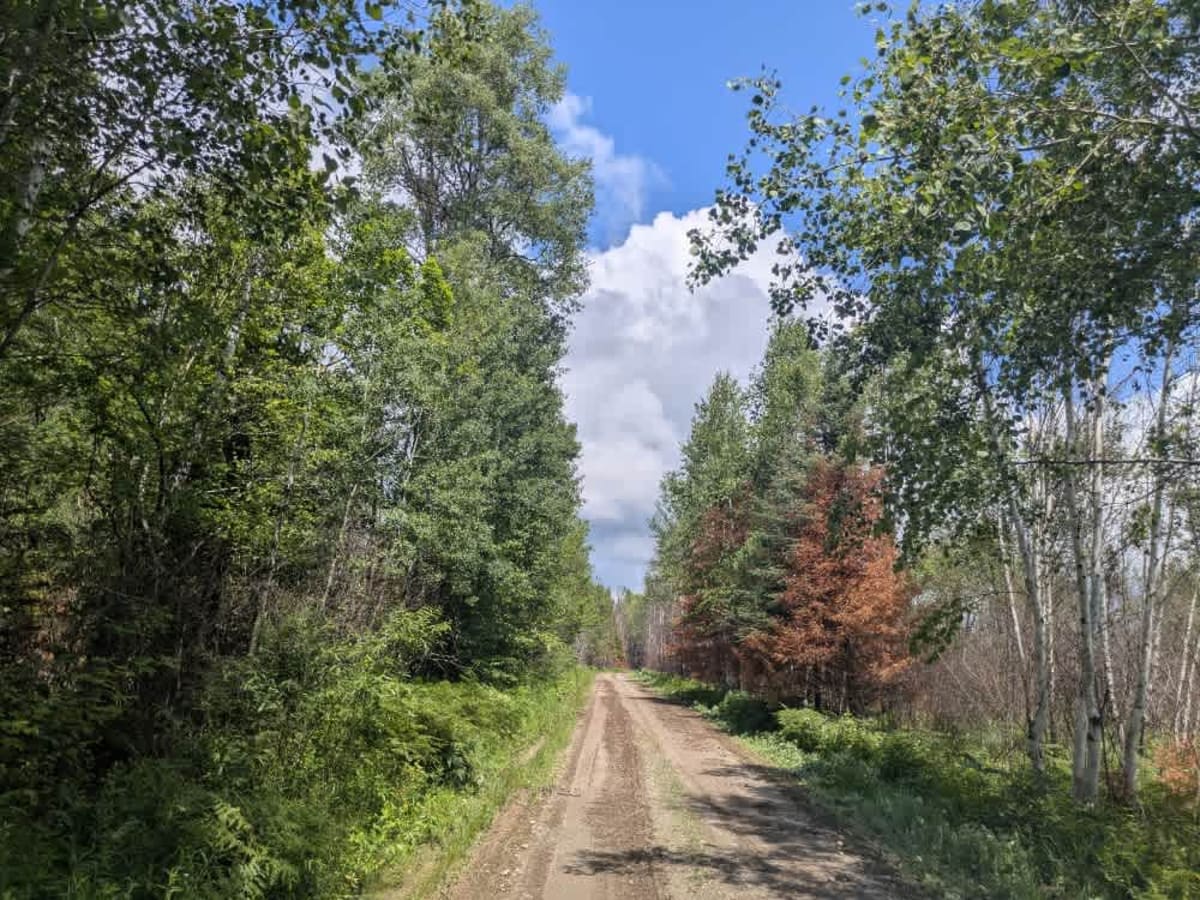 St Louis Spur C trail photo