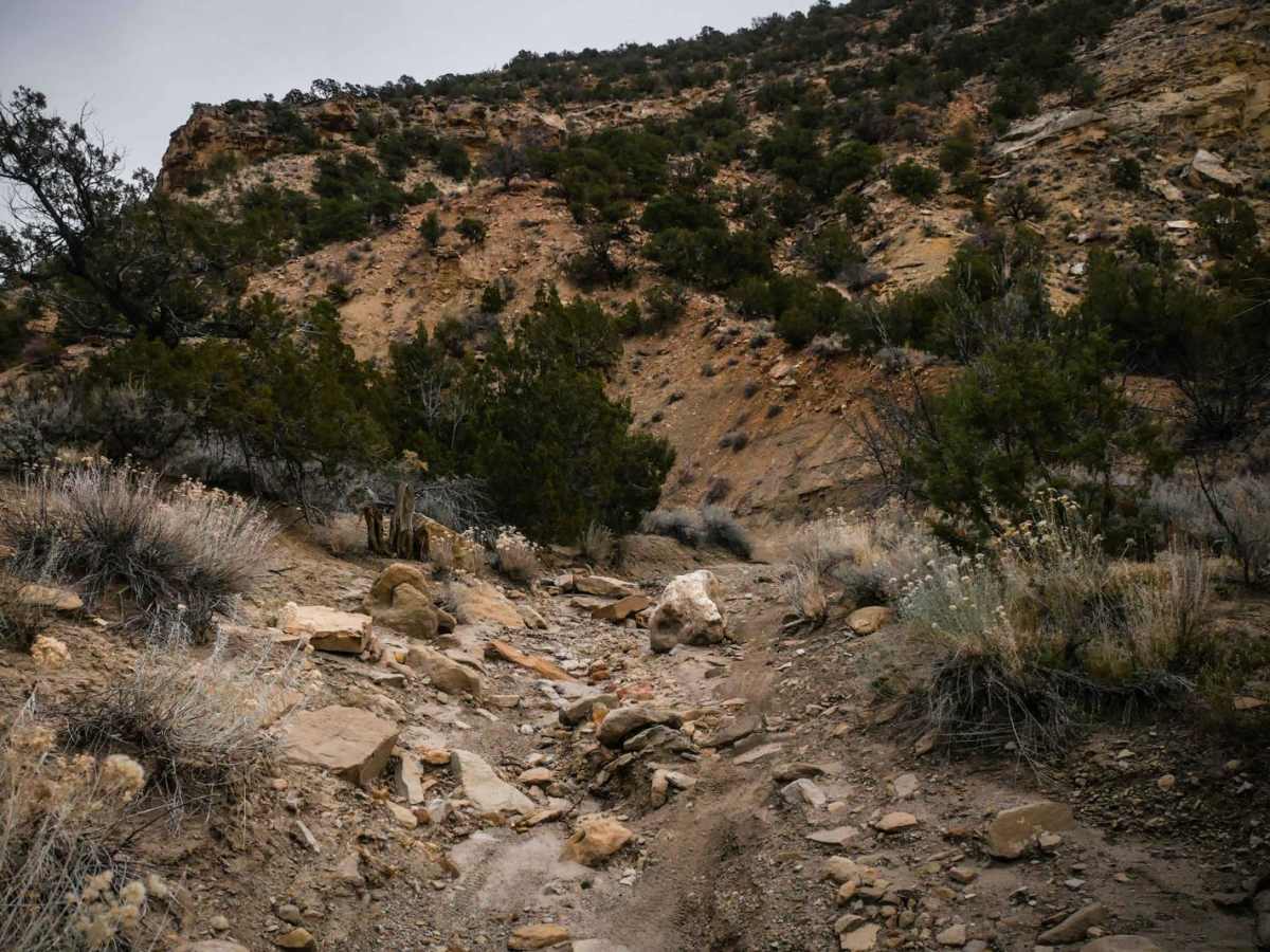 BLM Route 220 photo 6