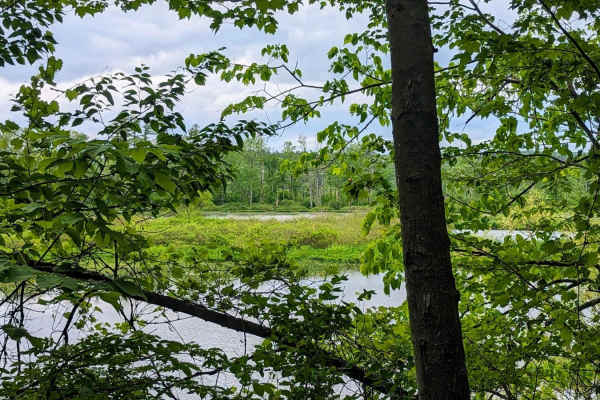 Roaring Brook Road