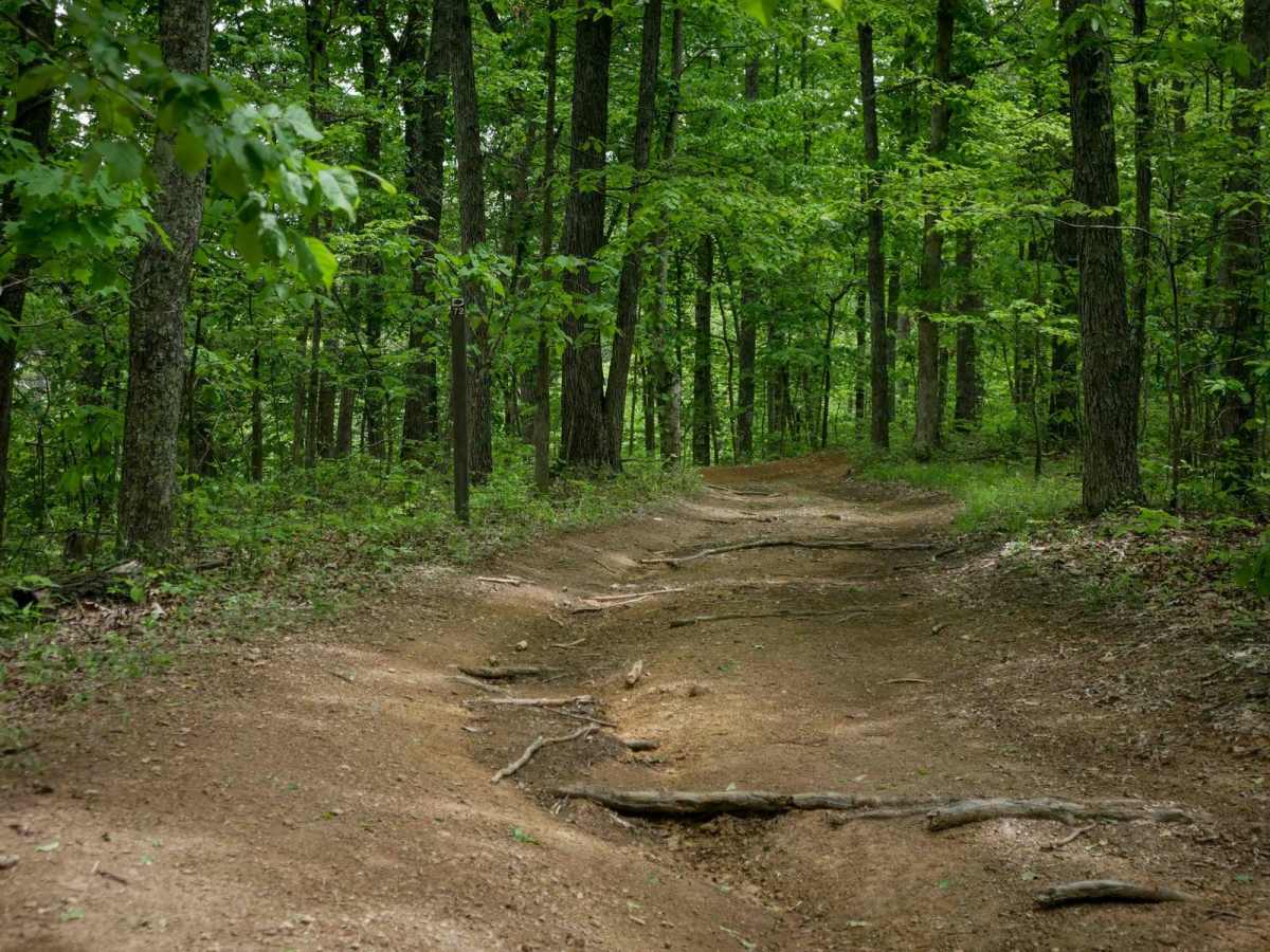 IB 72 trail photo