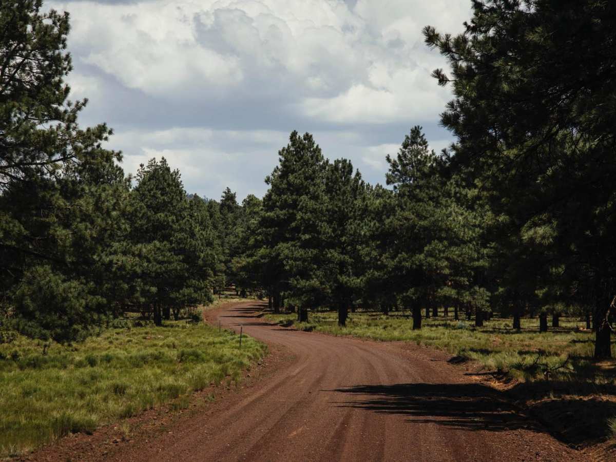 Bellemont-MoritzRoad photo 5