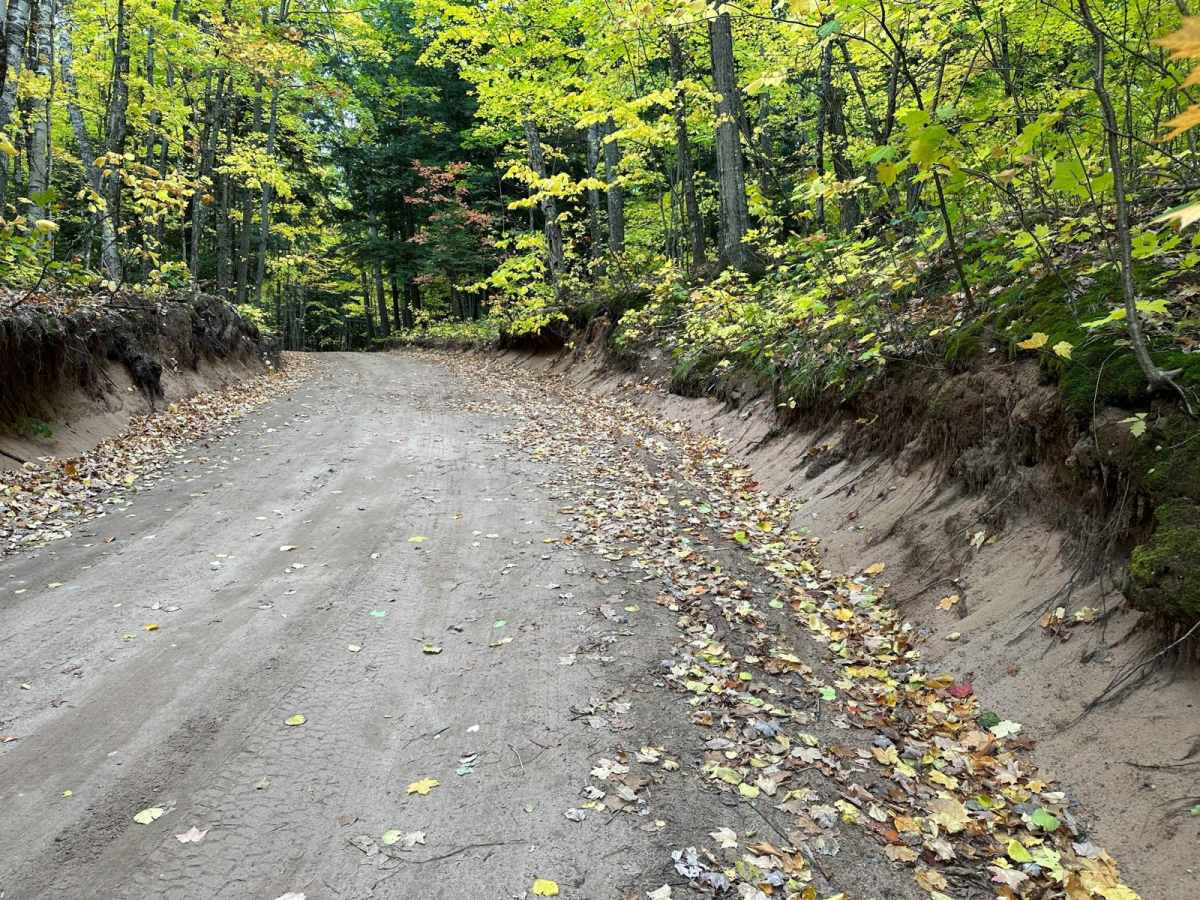 Harlow Lake Road Trail photo 6