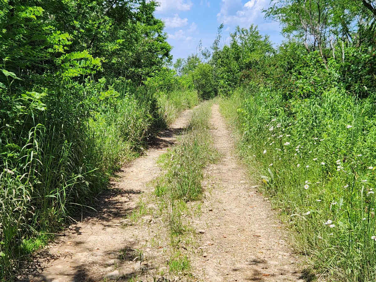 Trail 9 - Rock Run Recreation Area photo 6