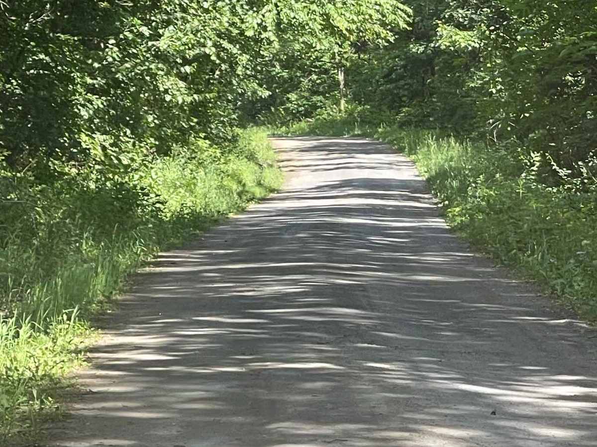 Sand Spring Road photo 2