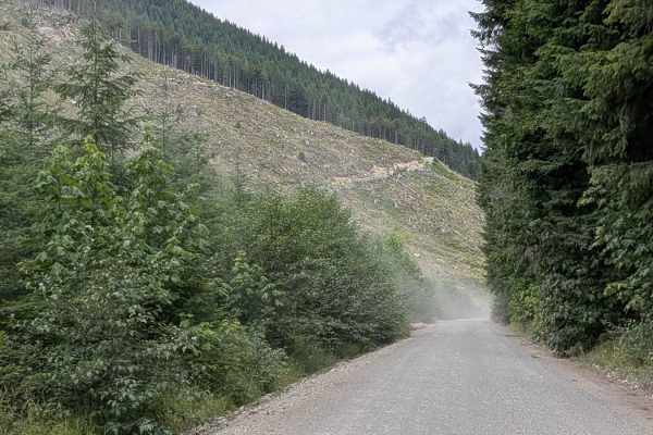 Gordon River Road North