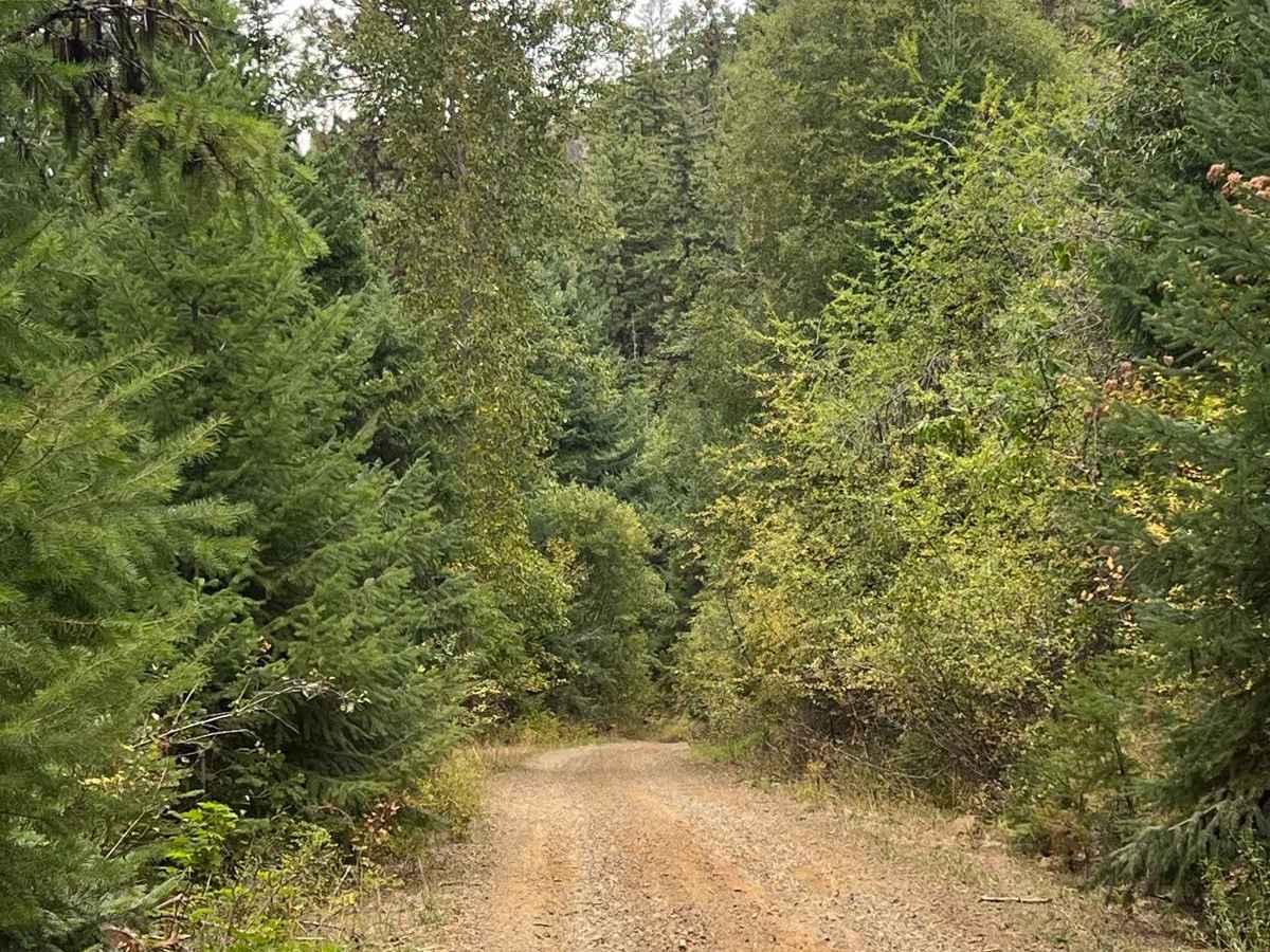 Labyrinth Mountain photo 3
