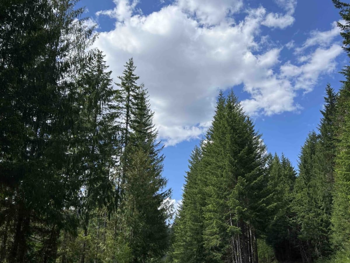 Hideaway Lake - FR 5830 photo 2
