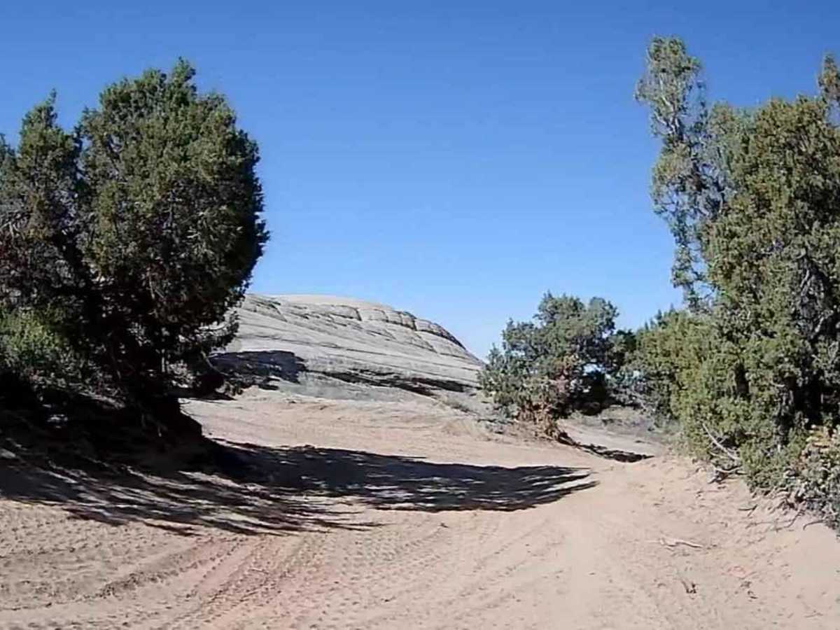Sand Bar Loop photo 3