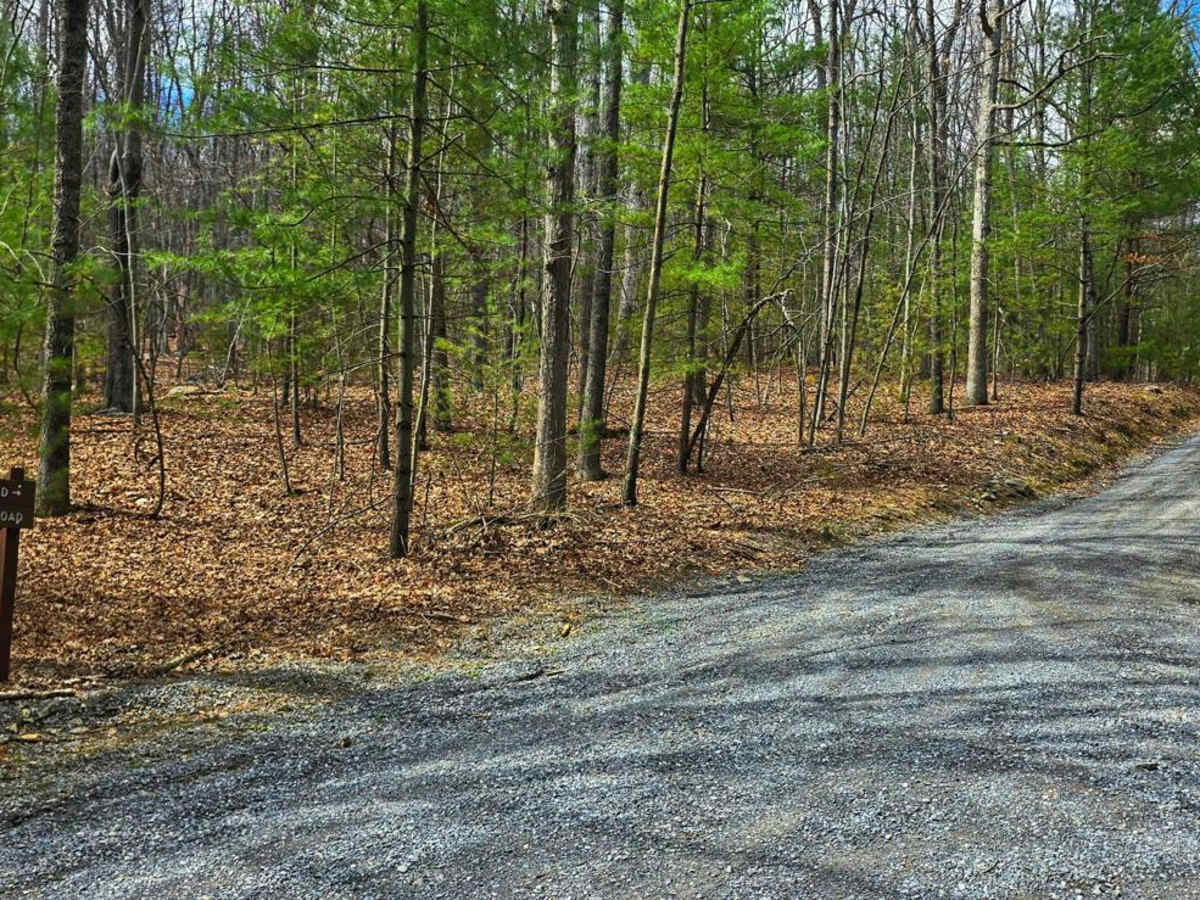 District Road photo 3