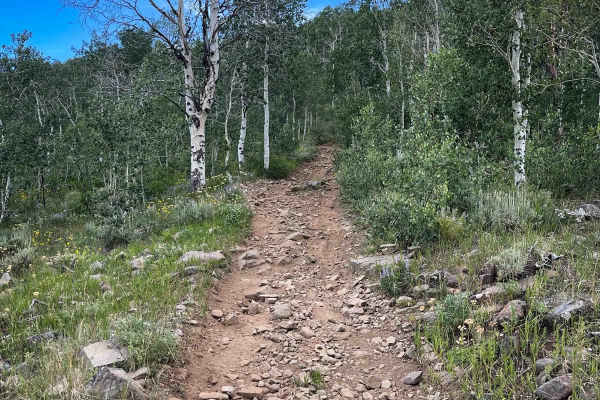 Elkhorn Trail North