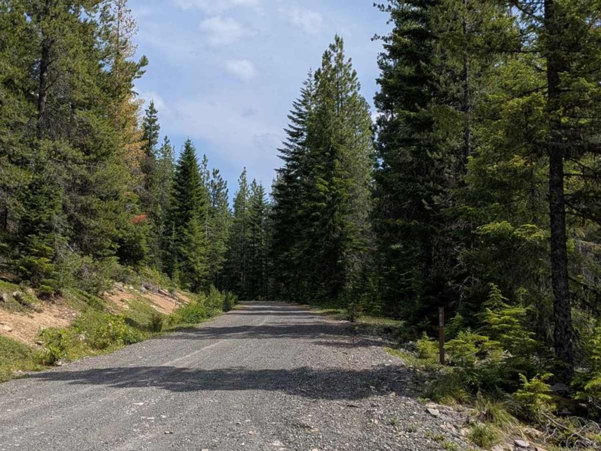 26100000 Connector trail photo