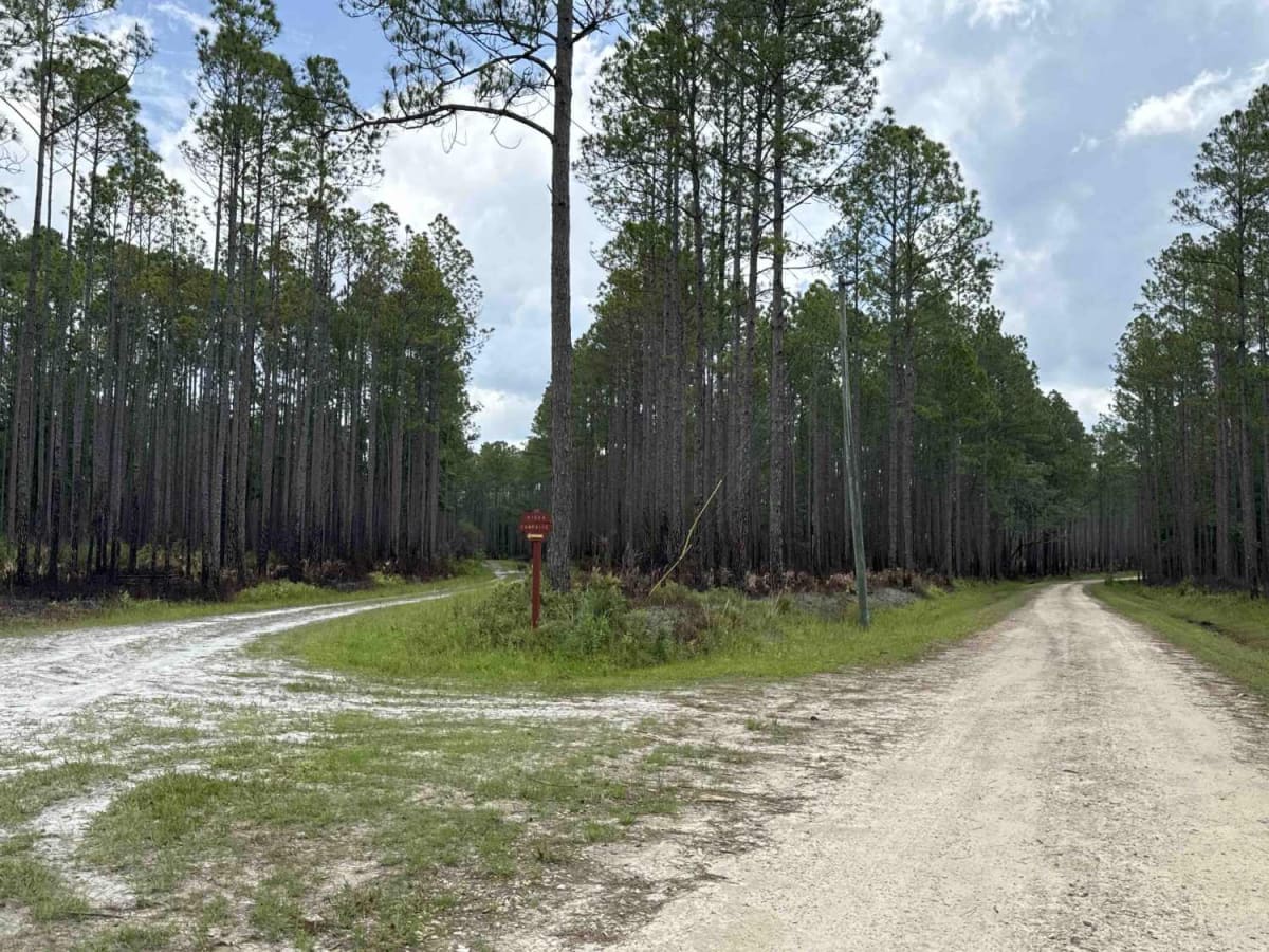 Jeff Sanders Road trail photo