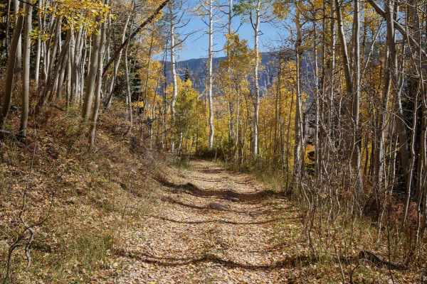 Fox Creek ATV